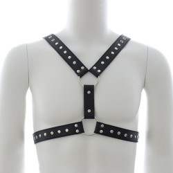 Generique Harnais homme Strap Chest